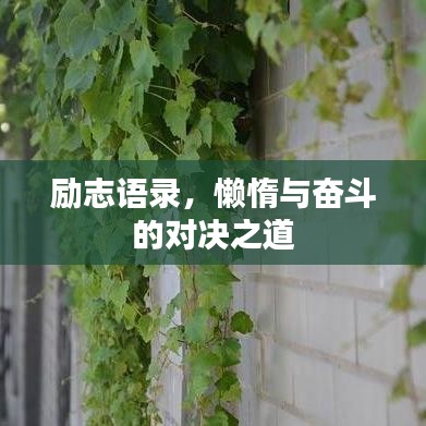 励志语录,懒惰与奋斗的对决之道