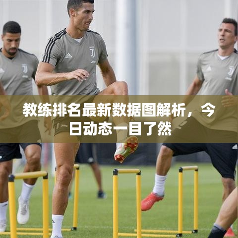教练排名最新数据图解析,今日动态一目了然