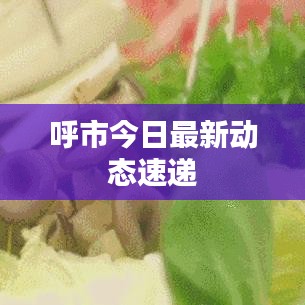 呼市今日最新动态速递