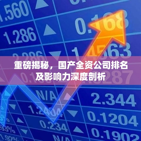 重磅揭秘,国产全资公司排名及影响力深度剖析