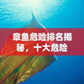 章鱼危险排名揭秘，十大危险品种上榜