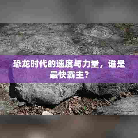 恐龙时代的速度与力量,谁是最快霸主?