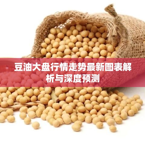 豆油大盘行情走势最新图表解析与深度预测