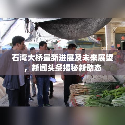 石湾大桥最新进展及未来展望,新闻头条揭秘新动态