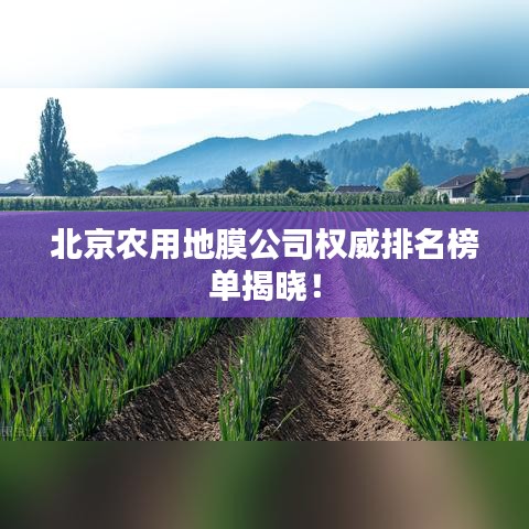 北京农用地膜公司权威排名榜单揭晓！
