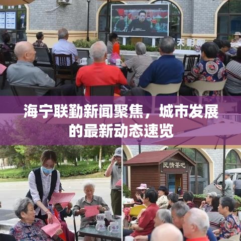 海宁联勤新闻聚焦,城市发展的最新动态速览