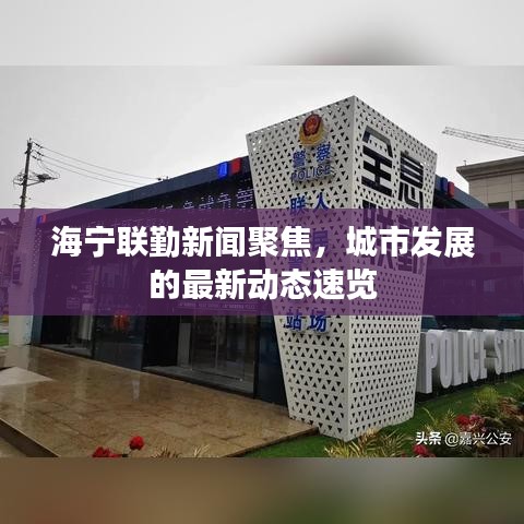 海宁联勤新闻聚焦,城市发展的最新动态速览