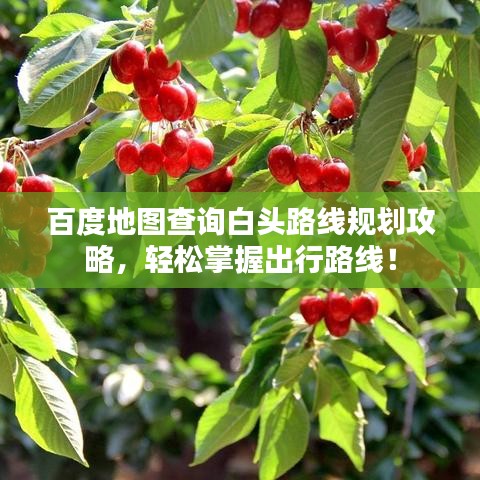 百度地图查询白头路线规划攻略,轻松掌握出行路线!