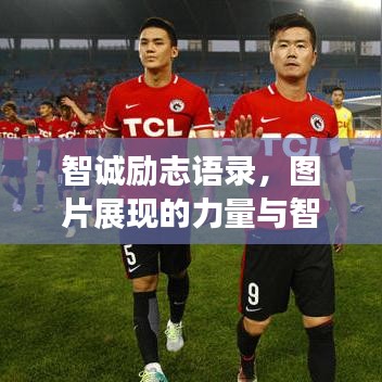 远山芙蓉 第3页