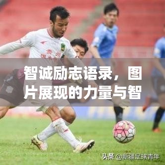 智诚励志语录,图片展现的力量与智慧