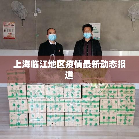 上海临江地区疫情最新动态报道