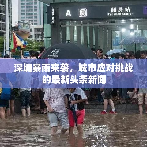 深圳暴雨来袭,城市应对挑战的最新头条新闻