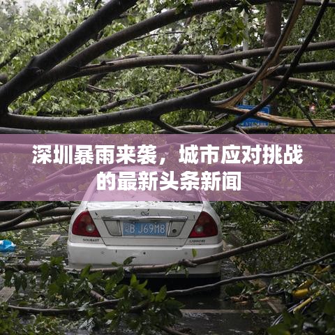 深圳暴雨来袭,城市应对挑战的最新头条新闻