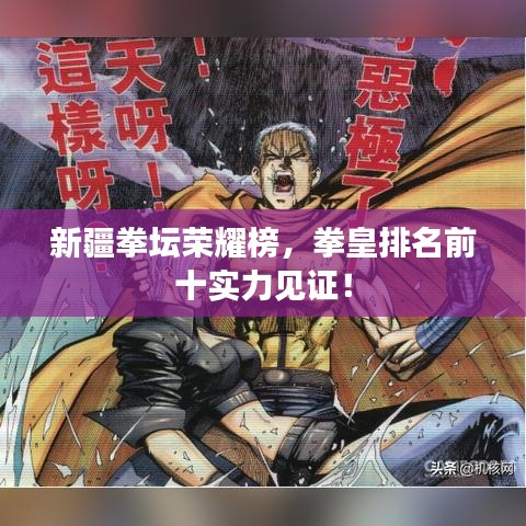 新疆拳坛荣耀榜,拳皇排名前十实力见证!