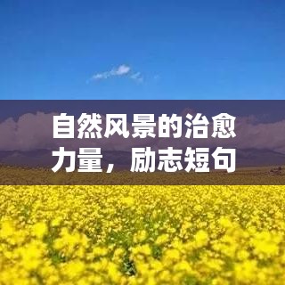 自然风景的治愈力量,励志短句与你共舞生命之美
