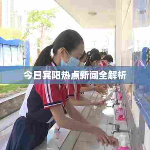 今日宾阳热点新闻全解析