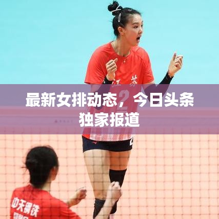 最新女排动态,今日头条独家报道