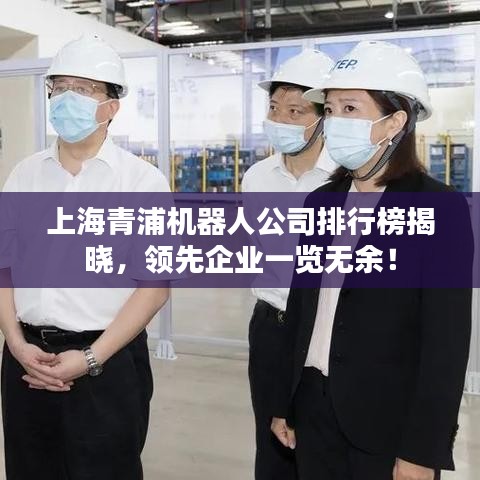 上海青浦机器人公司排行榜揭晓,领先企业一览无余!