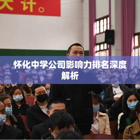 怀化中学公司影响力排名深度解析
