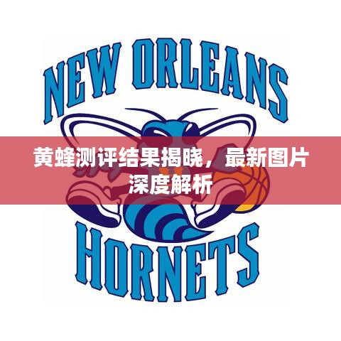 黄蜂测评结果揭晓,最新图片深度解析