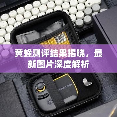 黄蜂测评结果揭晓,最新图片深度解析