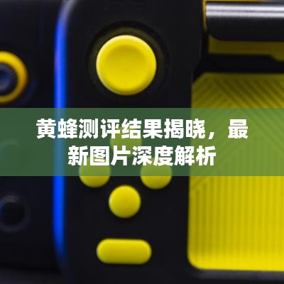 黄蜂测评结果揭晓,最新图片深度解析