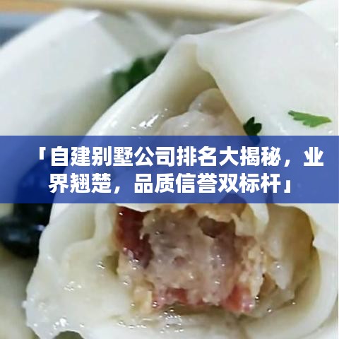 「自建别墅公司排名大揭秘,业界翘楚,品质信誉双标杆」