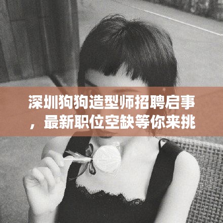 深圳狗狗造型师招聘启事,最新职位空缺等你来挑战!