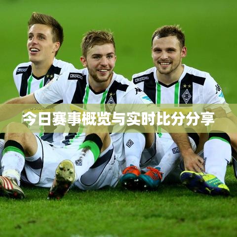 今日赛事概览与实时比分分享