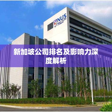 新加坡公司排名及影响力深度解析