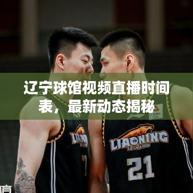 辽宁球馆视频直播时间表,最新动态揭秘