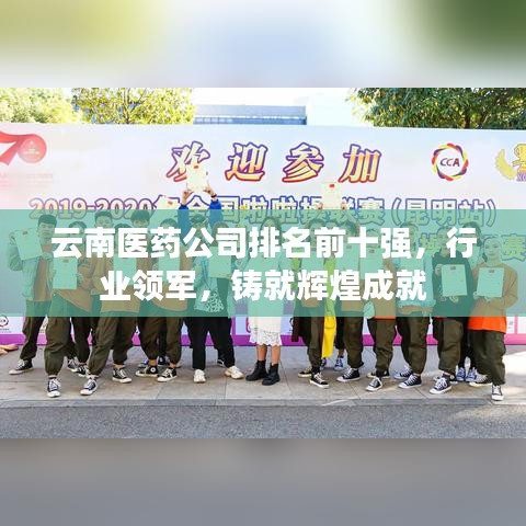 云南医药公司排名前十强，行业领军，铸就辉煌成就