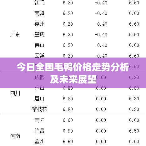 今日全国毛鸭价格走势分析及未来展望