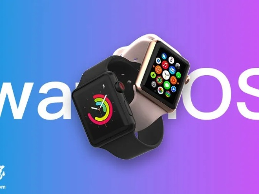 偶像的版本,实践性方案设计 watchOS_v9.419