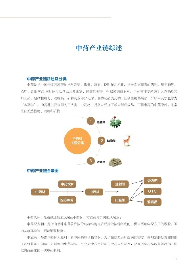中药版本,创新性方案解析|精简版_v10.608
