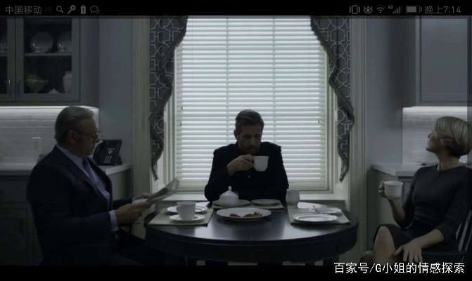 纸牌屋版本,深入应用数据解析|VIP_v1.771