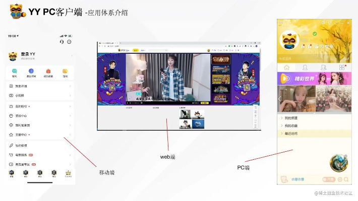 yy下载官方,定制化执行方案分析&动态版_v2.446