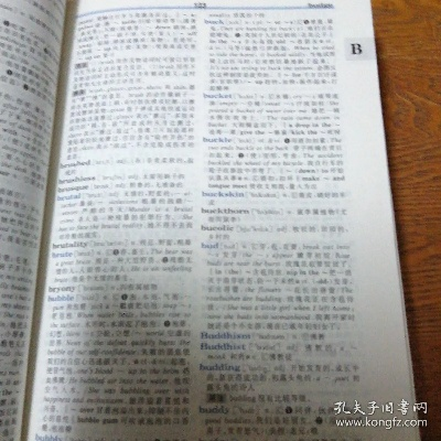 乱online单机版和新英汉词典官方下载,精细化解读说明&amp;3K_v7.680