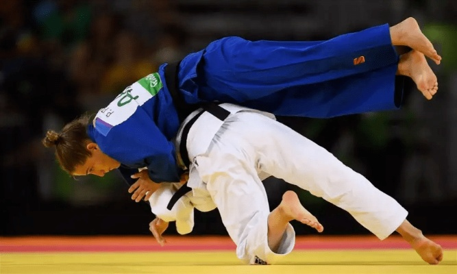 趣味软件大盘点，探索神秘莫测的70版本柔道及更多独特软件