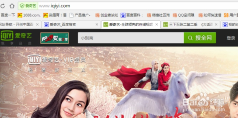 有道官方下载2013跟爱奇艺免验证版本,快速解答执行方案&入门版_v6.813