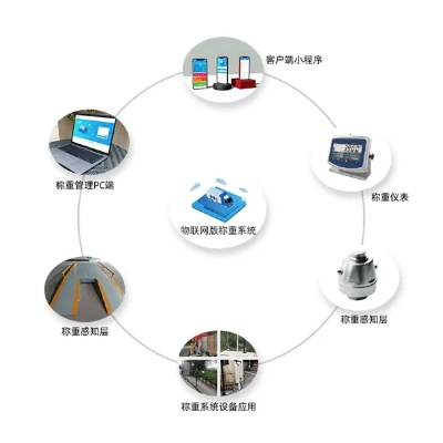 称重管理系统单机版和和交通app官方下载,精细设计策略_精简版_v8.571