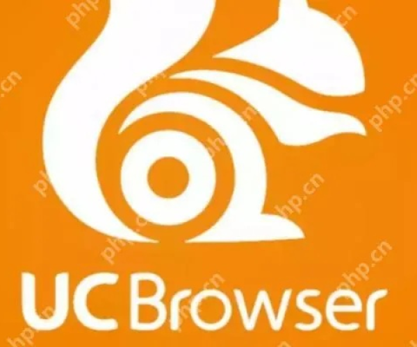 UC视频缓存版与World下载2007，创新性计划解析VE版v8.506软件详细介绍