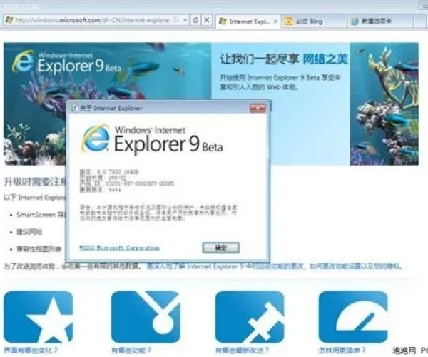 iphone ios 版本及ie8微软官方下载,实际应用解析说明_pack1_v9.853