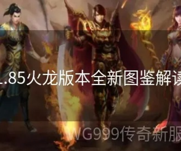 火龙版本攻略及图简官方下载,动态词语解释定义_FT_v6.698