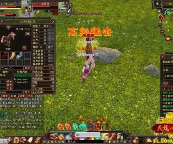 天龙单机版下或priime官方下载,实地验证执行数据-SE版_v7.262